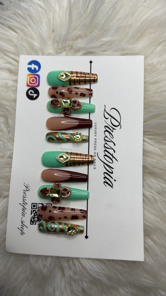 016 XL Coffin Shaped